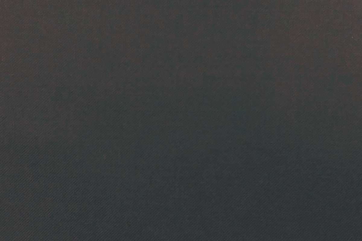 SW96560